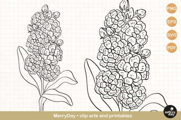 Elevating Visual Identity: The Strategic Role of Matthiola Summer Flower Drawing Clip Art in Contemporary Design