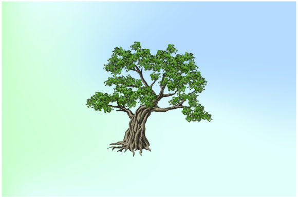 Great of Oak Tree Illustrations Vector